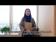 Βελόνα-διάτρηση μη υφανθείσα